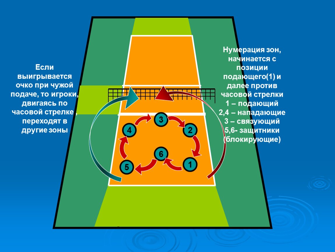 Расположение в волейболе (58 фото) - картинки photosota