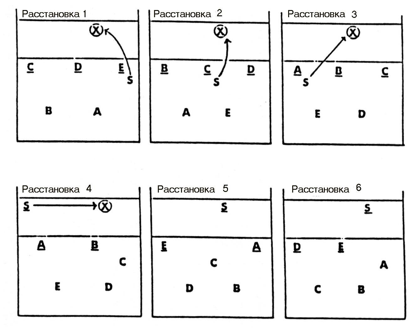 Расположение в волейболе (58 фото) - картинки photosota