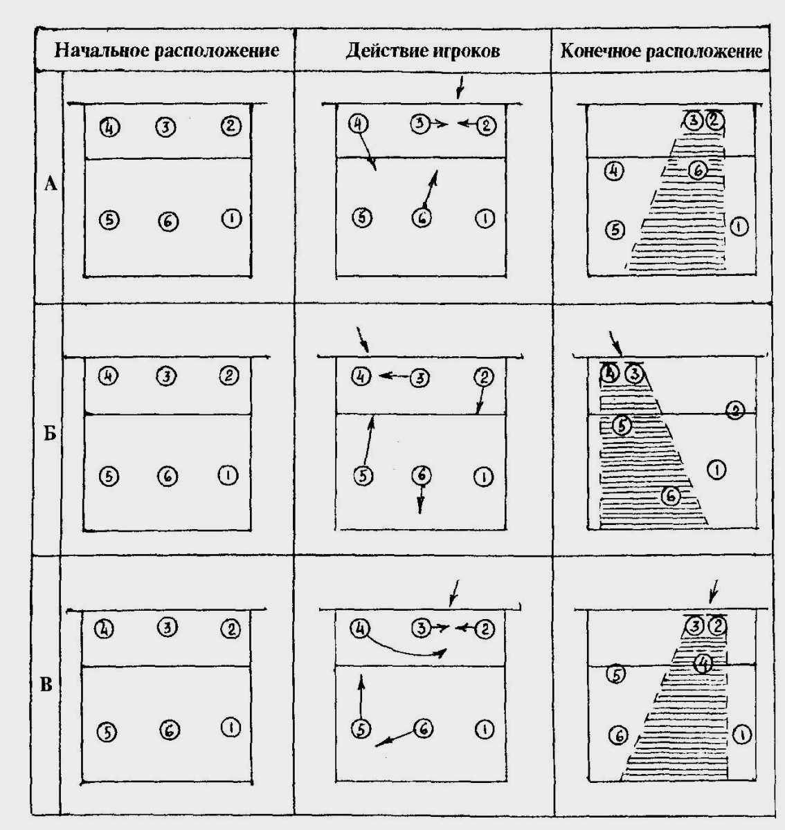Расположение в волейболе (58 фото) - картинки photosota