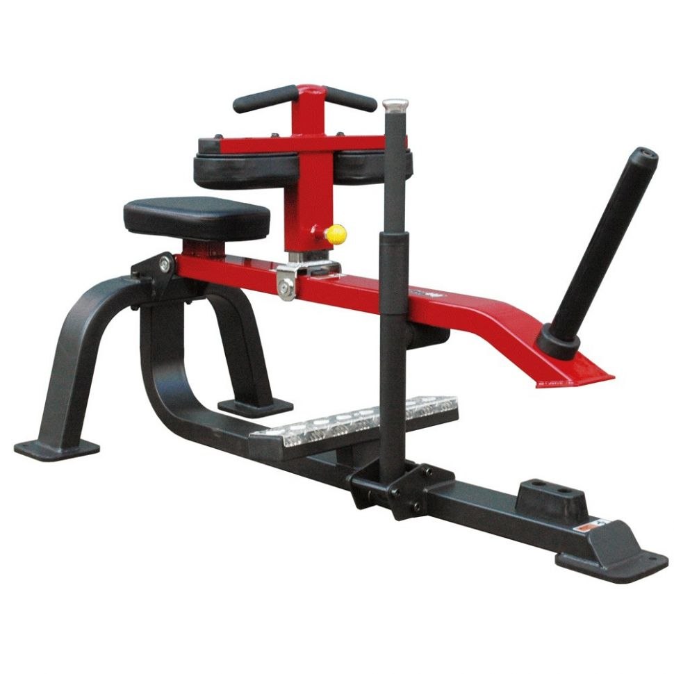 PROFIGYM ТД-0030-D жим ногами + гакк-машина