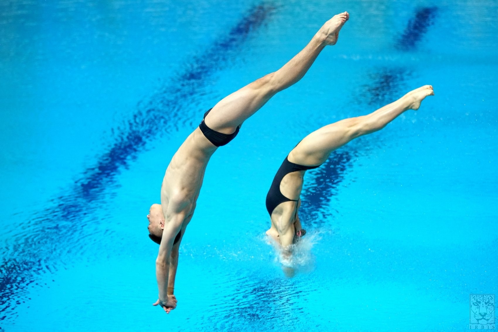 Прыжки в воду бразилия. Прыжки в воду. Спортивные прыжки в воду. Синхронные прыжки в воду. Прыгун в воду.