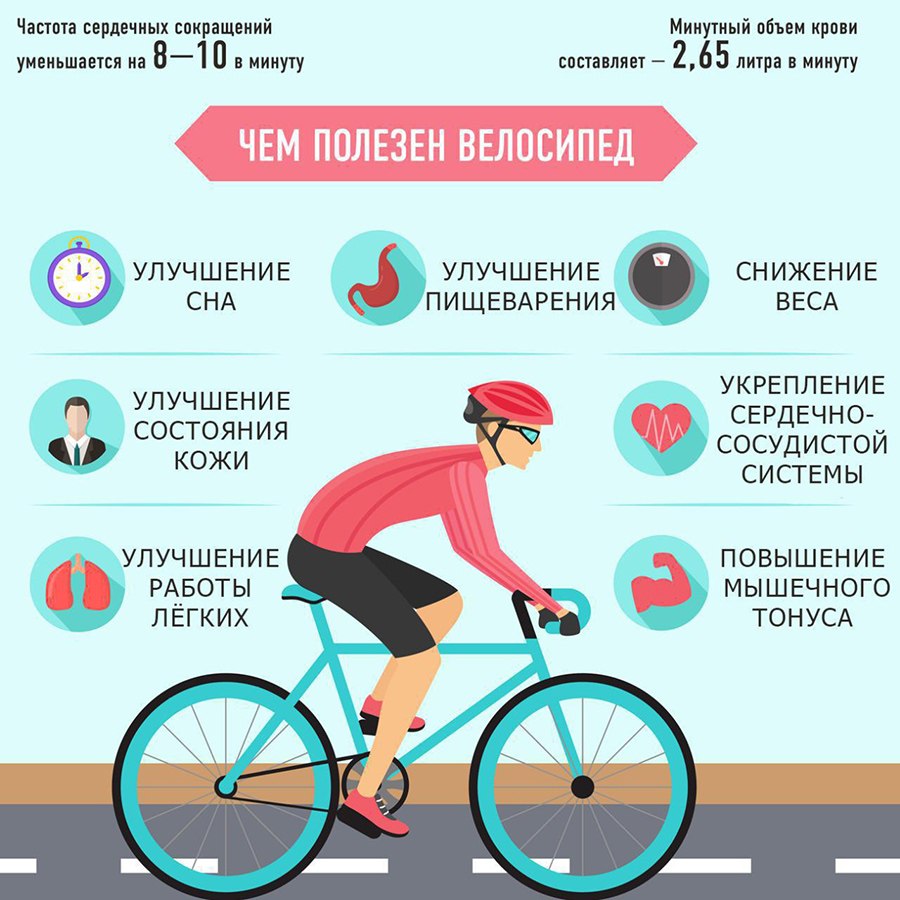 Мышцы задействованные при езде на велосипеде
