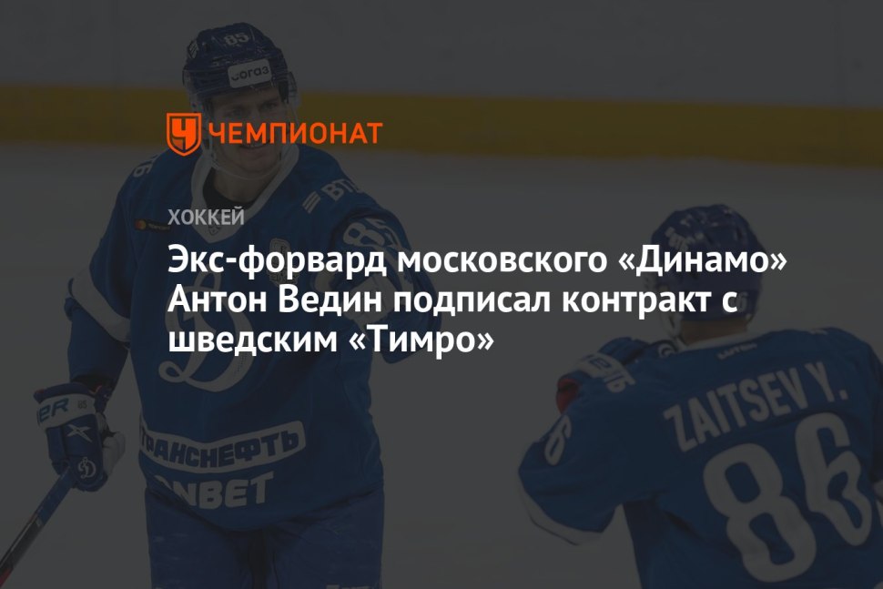 Забеднов Данил хоккей