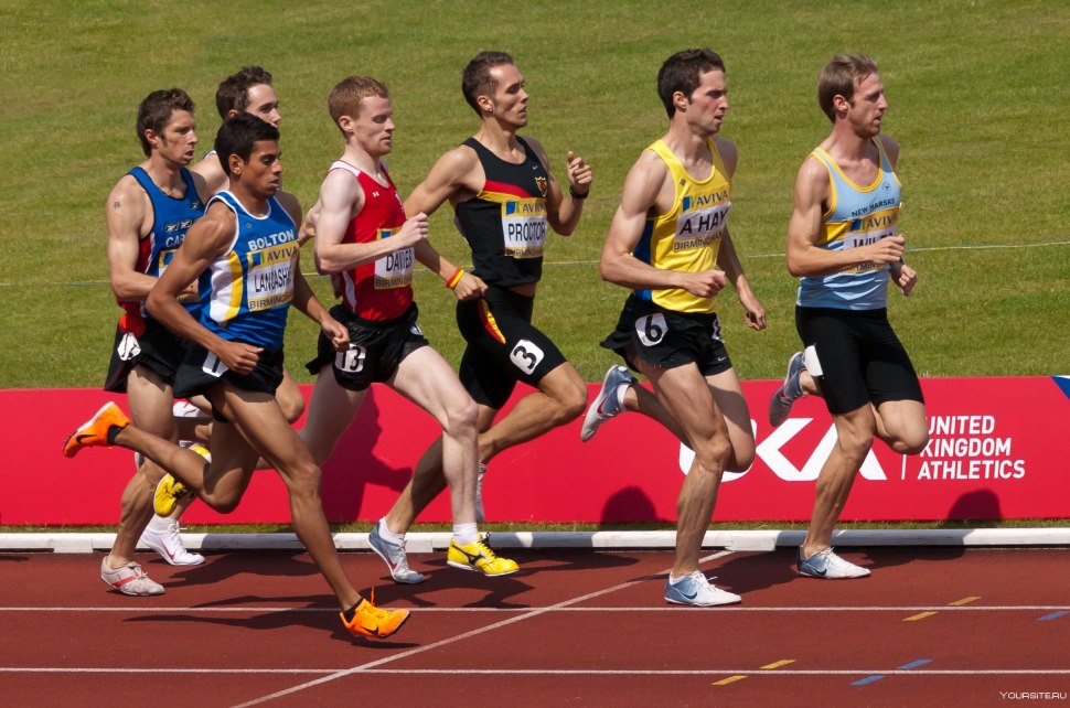 Dima Sport Atletika