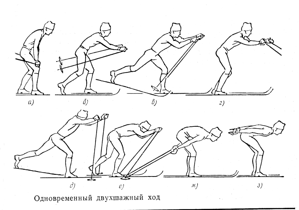 Попеременный двухшажный ход и одновременный двухшажный ход