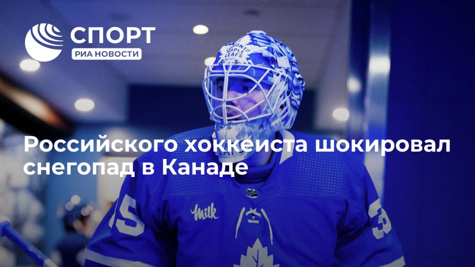 Кузнецкие медведи Локо 76