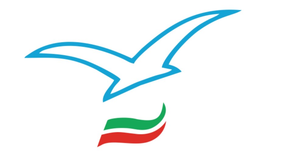 Буревестник эмблема компании