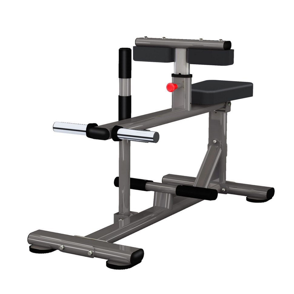 Спин-байк Insight Fitness SS-6000