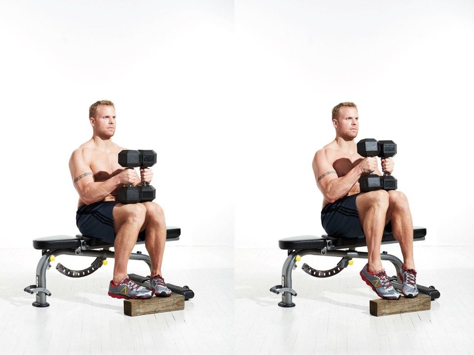 Голень сидя body Solid