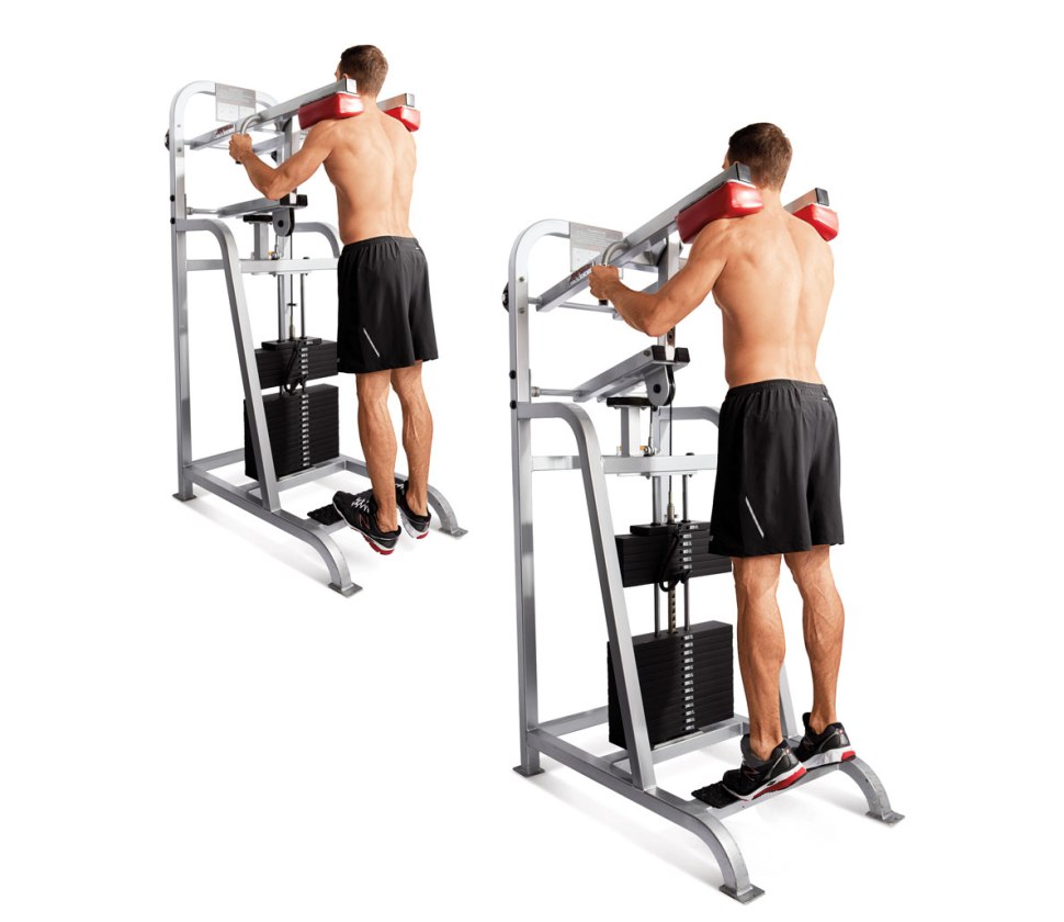 Машина Смитта MIRONFIT RK-325