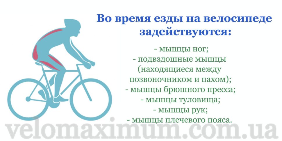 Езда на велосипеде польза