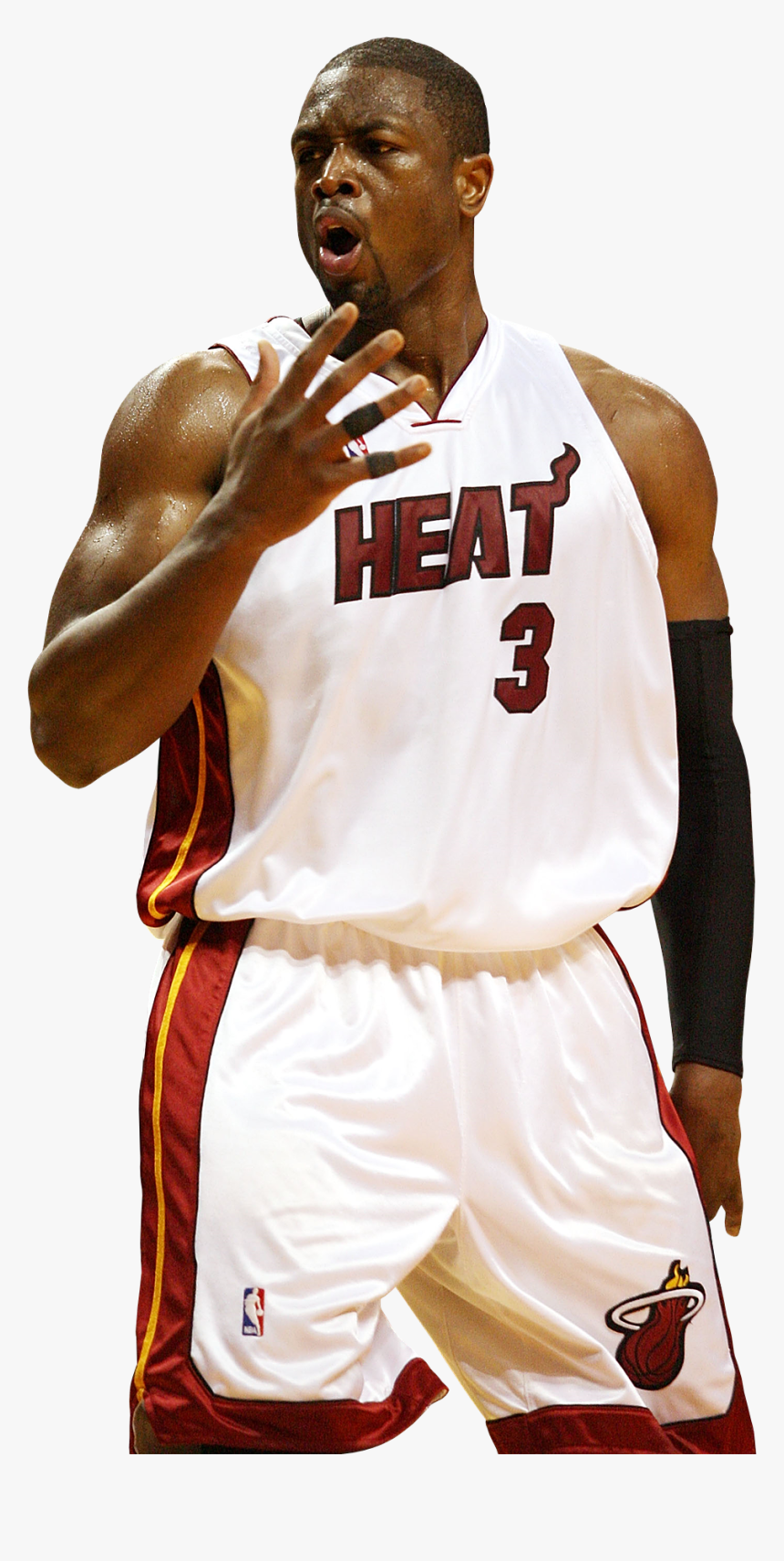 Dwyane Wade баскетбол