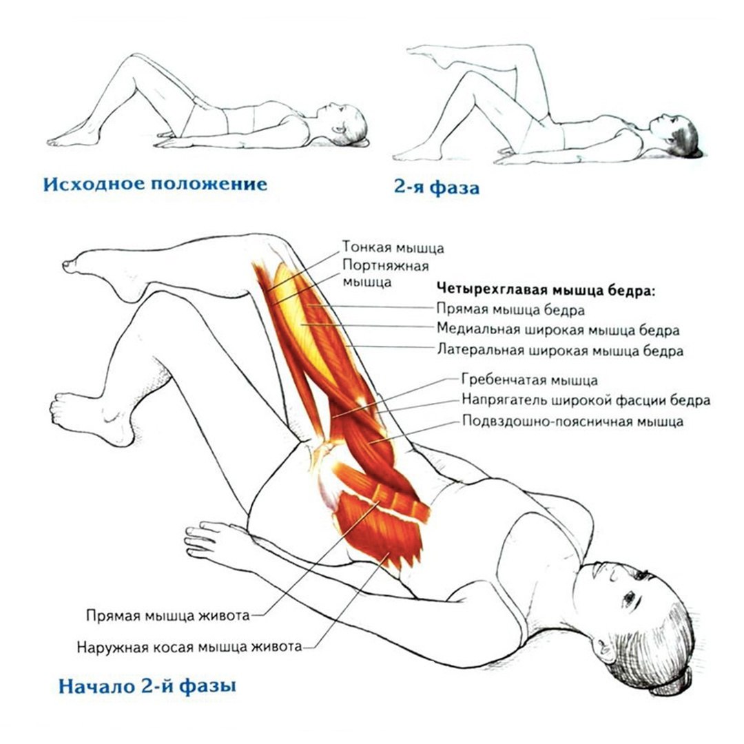 Упражнение подъём бедра мышцы
