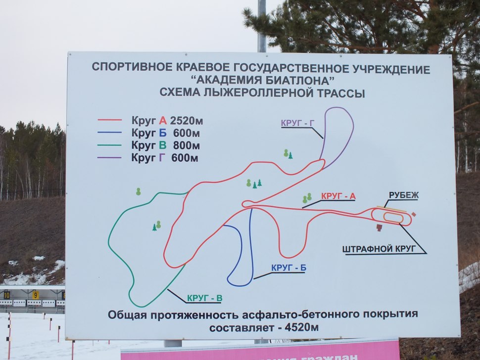 Лыжероллерная трасса Красноярск
