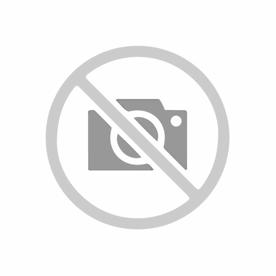 Дедков Дедищев команда баскетболистов