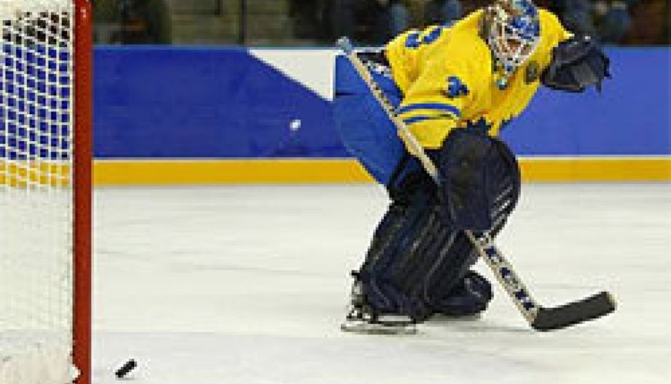 Швеция Беларусь 2002