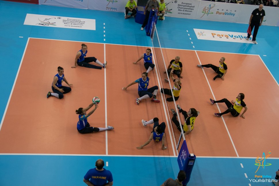 Academic Literature on the topic sitting Volleyball