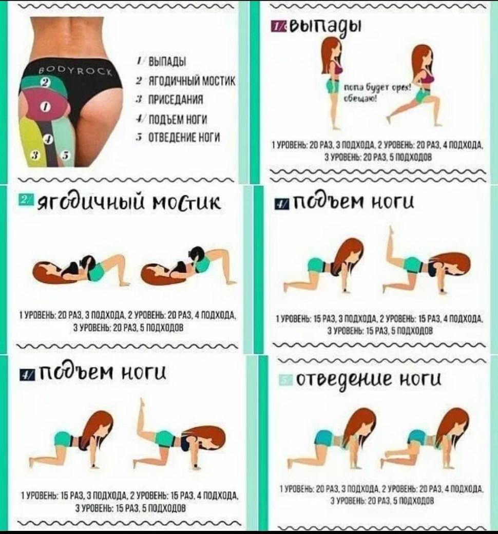 План тренировок на попу дома