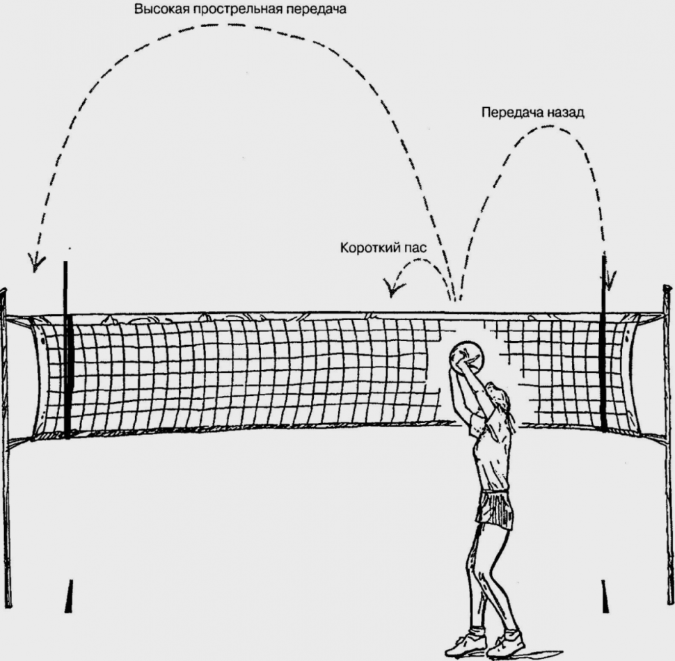 Волейбол зона подачи (61 фото) - картинки photosota
