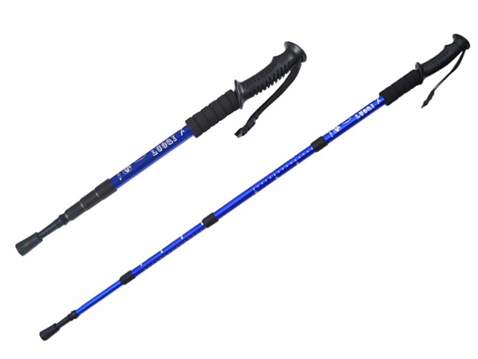 Палка для скандинавской ходьбы 2 шт. Gess телескопические Classic Walker