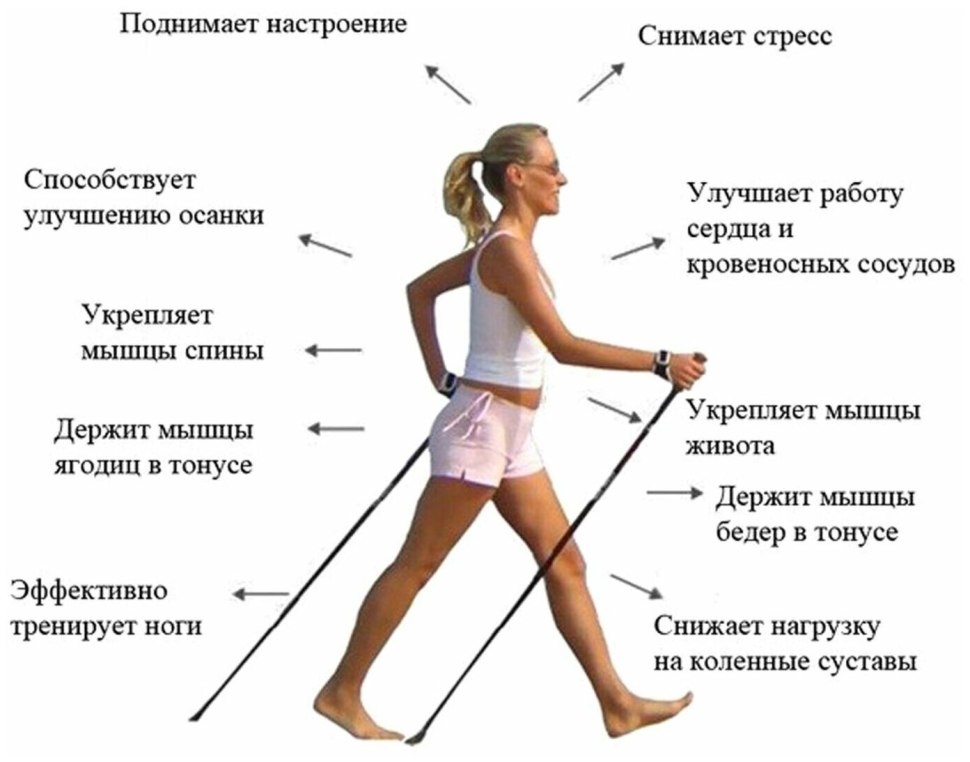Инвентарь для скандинавской ходьбы