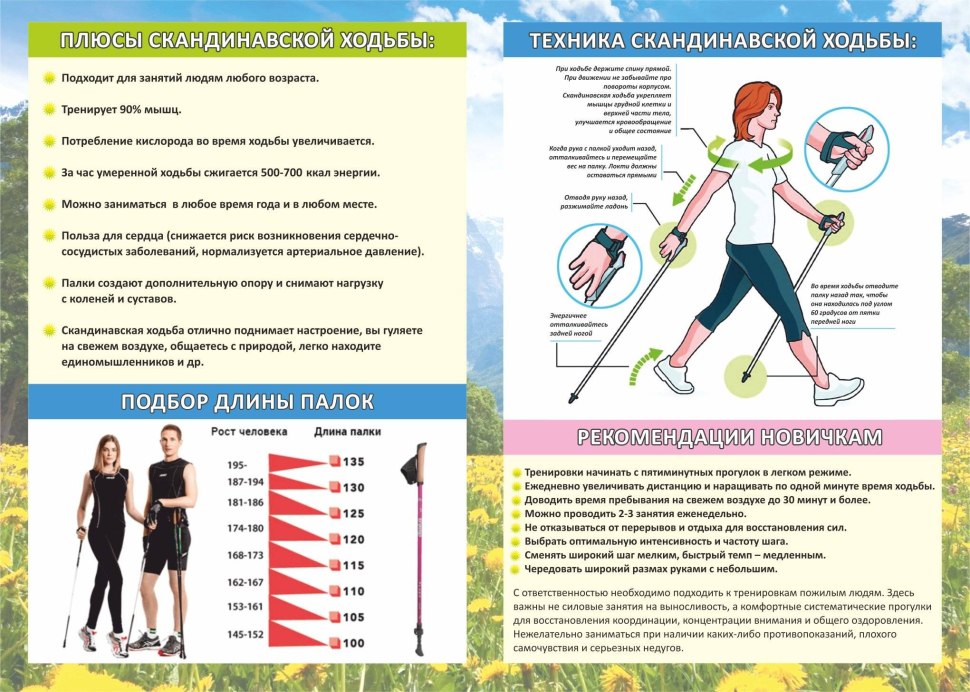 Палки для скандинавской ходьбы ростовка