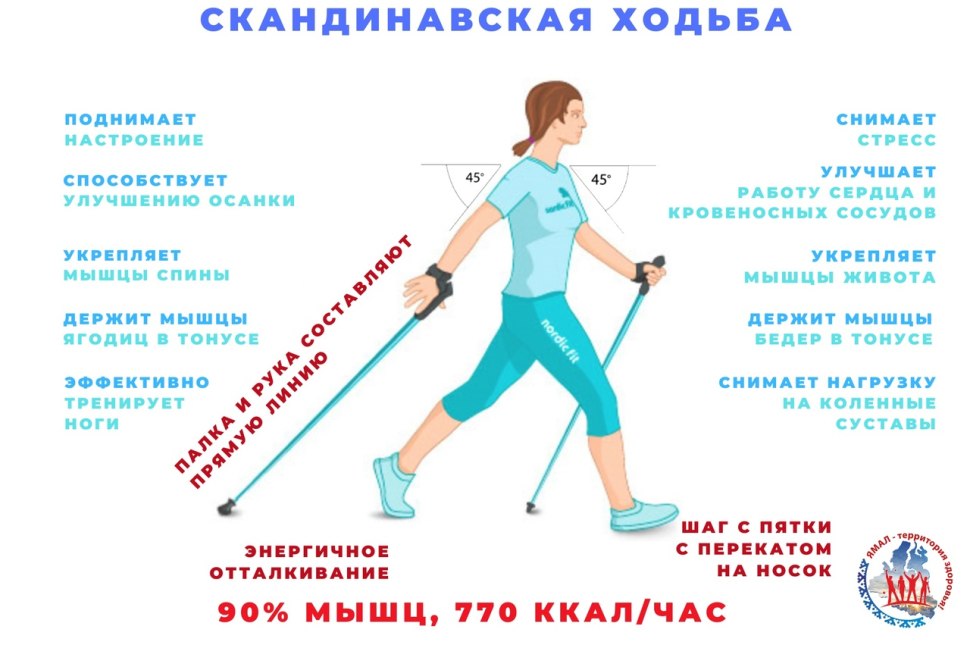 Палки для скандинавской ходьбы и трекинговые палки