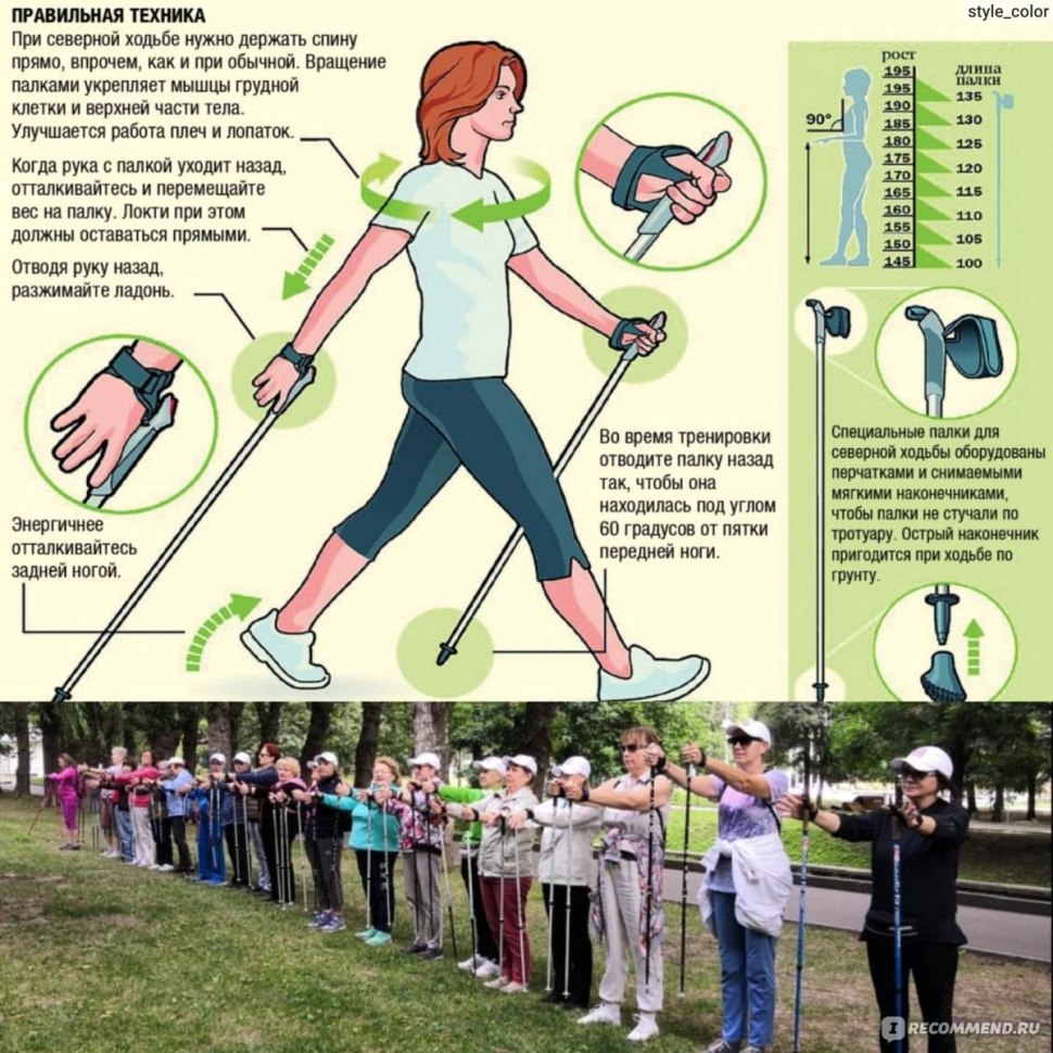 Методика скандинавской ходьбы с палками для начинающих