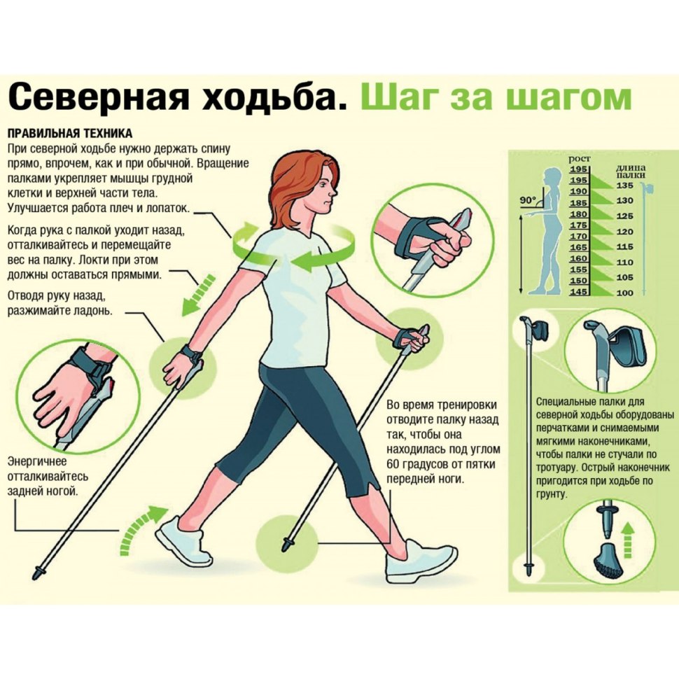 Палочка для ходьбы