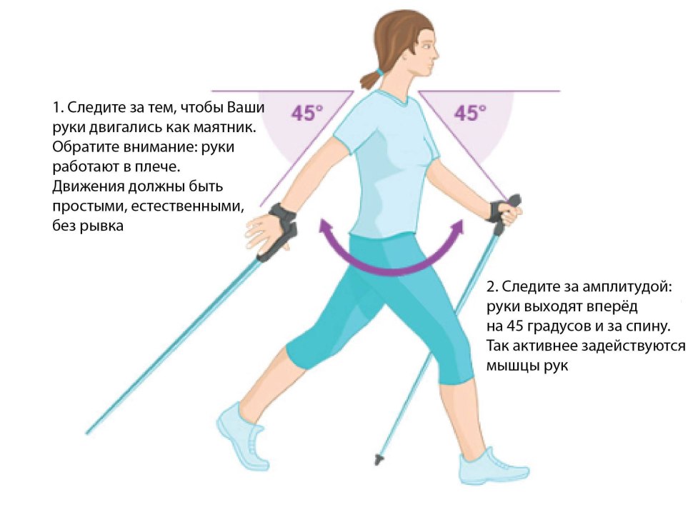 Палки для скандинавской ходьбы Gess Classic Walker (трехсекционные) Gess-915