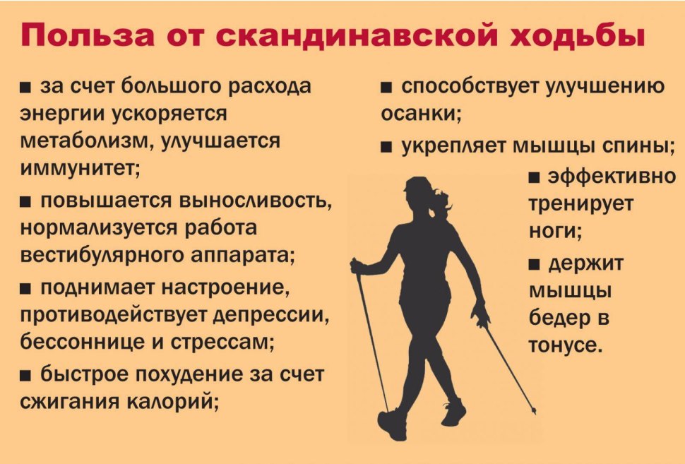 Финская ходьба с палками техника ходьбы