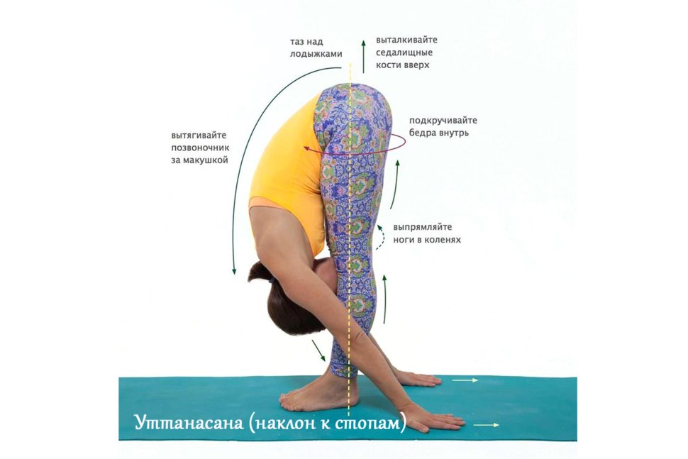 Уттанасана поза в йоге