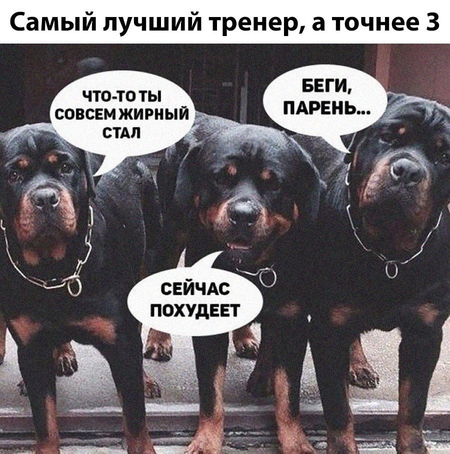 Тренер юмор