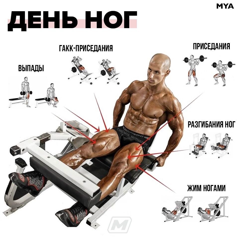 Упражнения на ноги в зале для мужчин