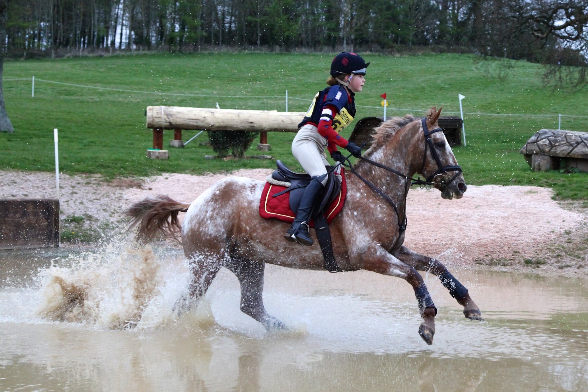 Eventing horses. Троеборье конный спорт. Троеборье кросс. Троеборье конный спорт Эстетика. Конное троеборье кросс.