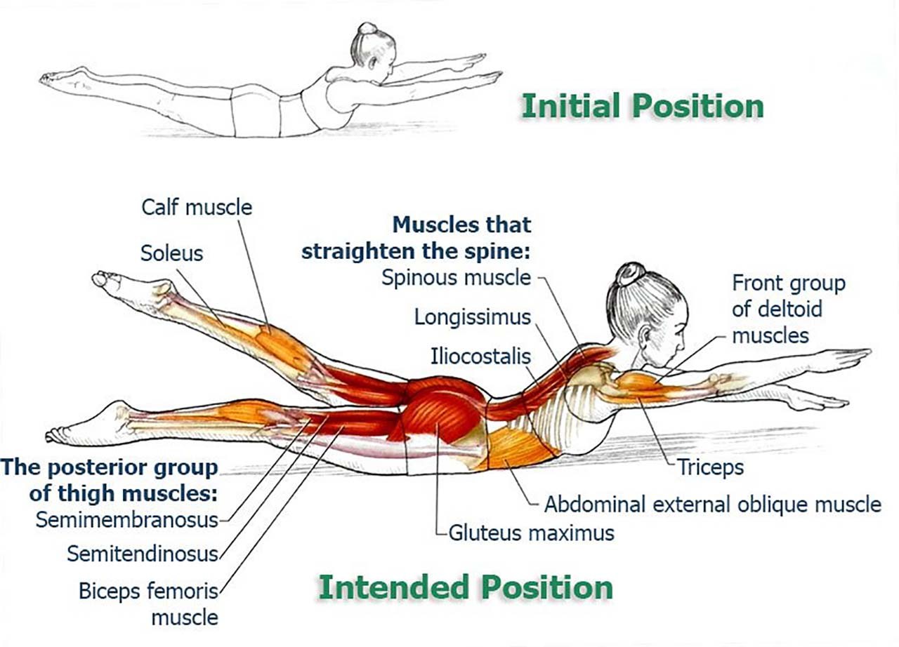 Упражнения для укрепления мышц боковых мышц спины