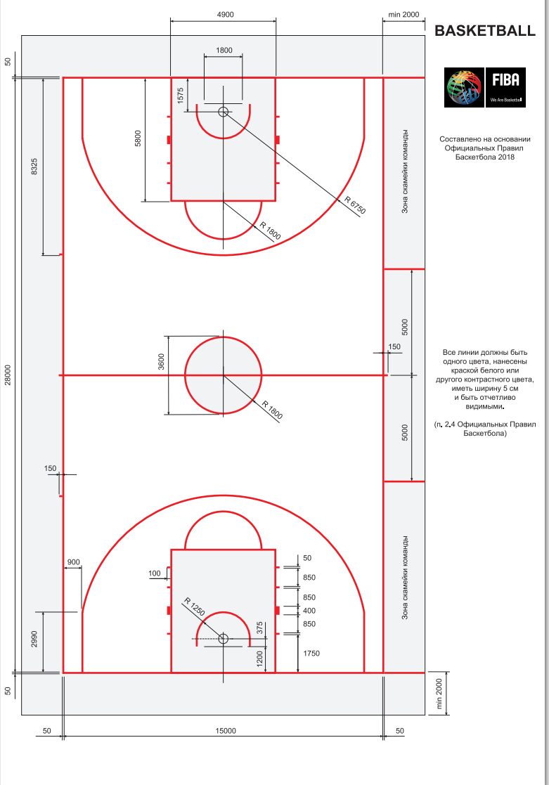 Баскетбол размер площадки (53 фото) - картинки photosota