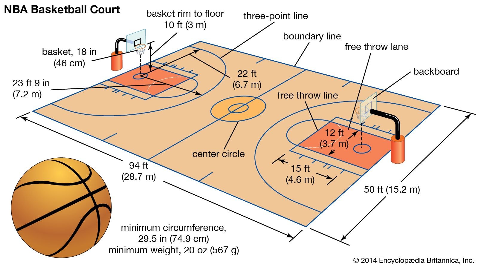 Баскетболисты размеры. Размеры баскетбольной площадки NBA. Размеры баскетбольной площадки в НБА. Размеры площадки НБА. Basketbol майдони.