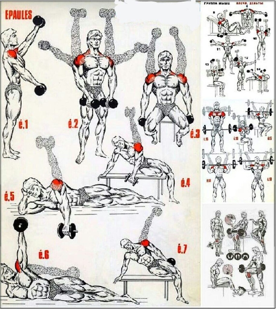 Упражнения на плечи дома (65 фото) - картинки photosota