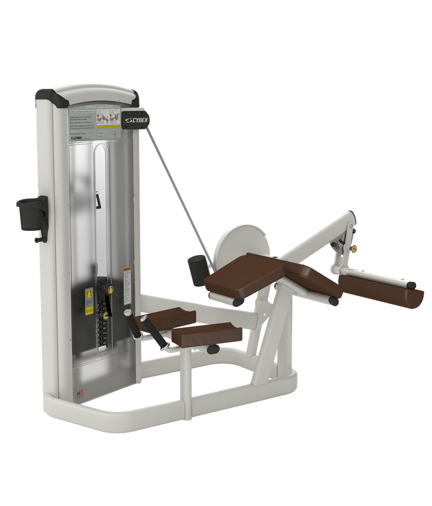 Low Pulley Arm biceps
