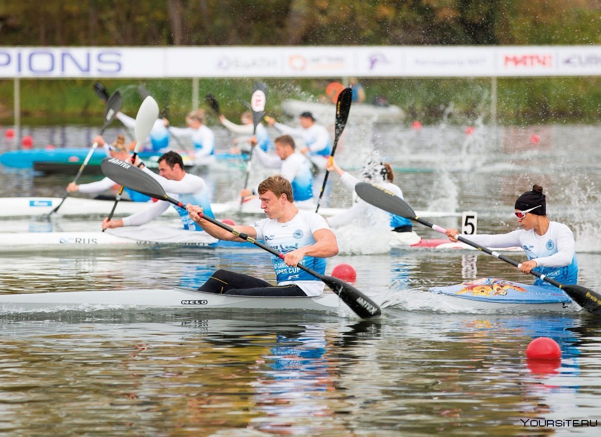 Гребля вид спорта