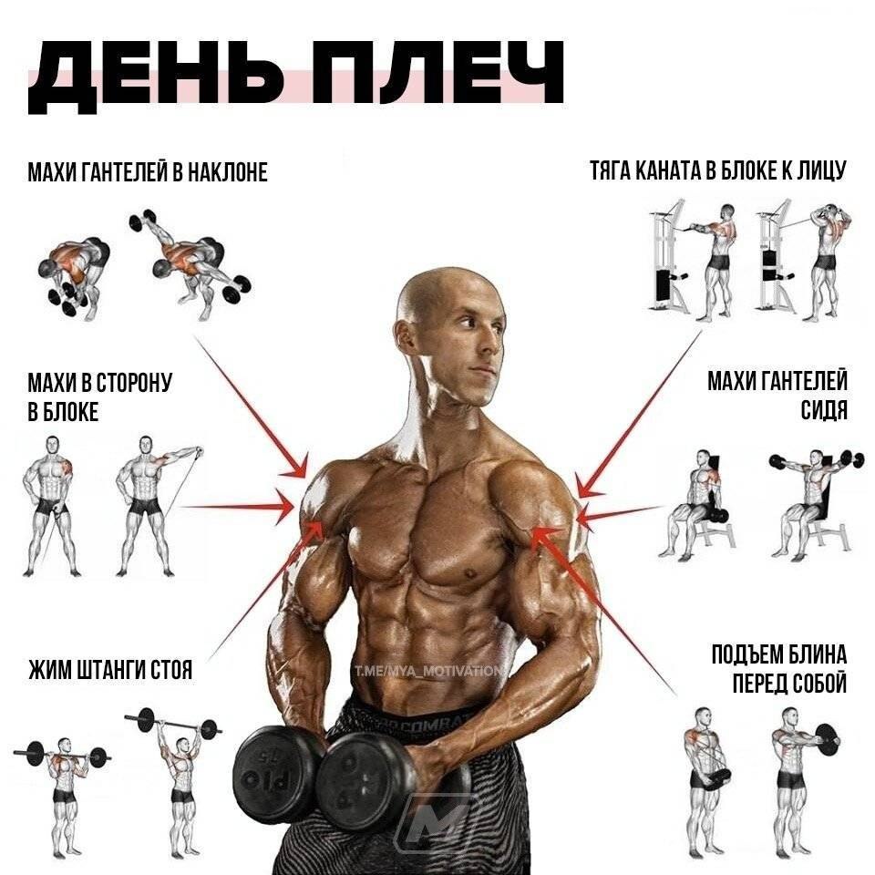 Упражнения на трицепс в тренажерном зале для мужчин