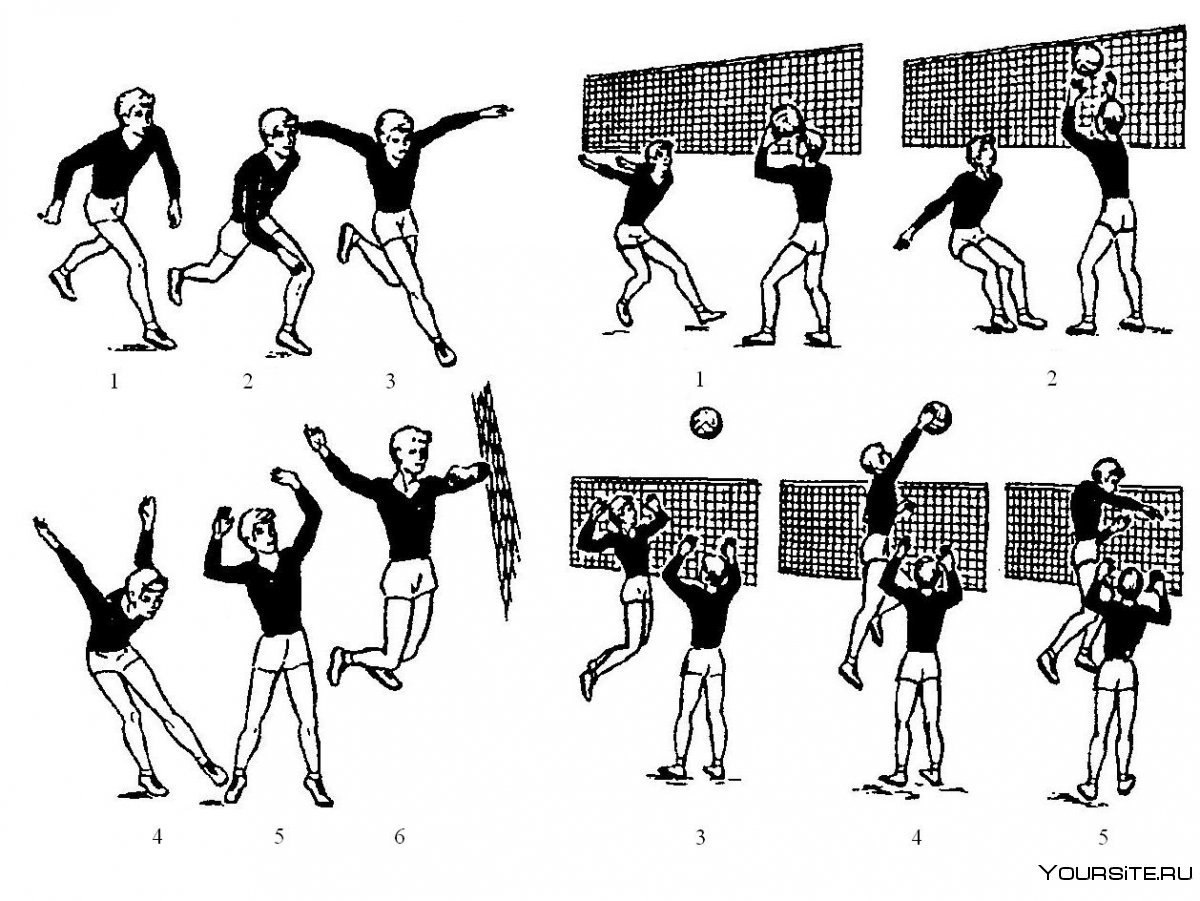 Удары в волейболе названия с картинками (59 фото) - картинки photosota