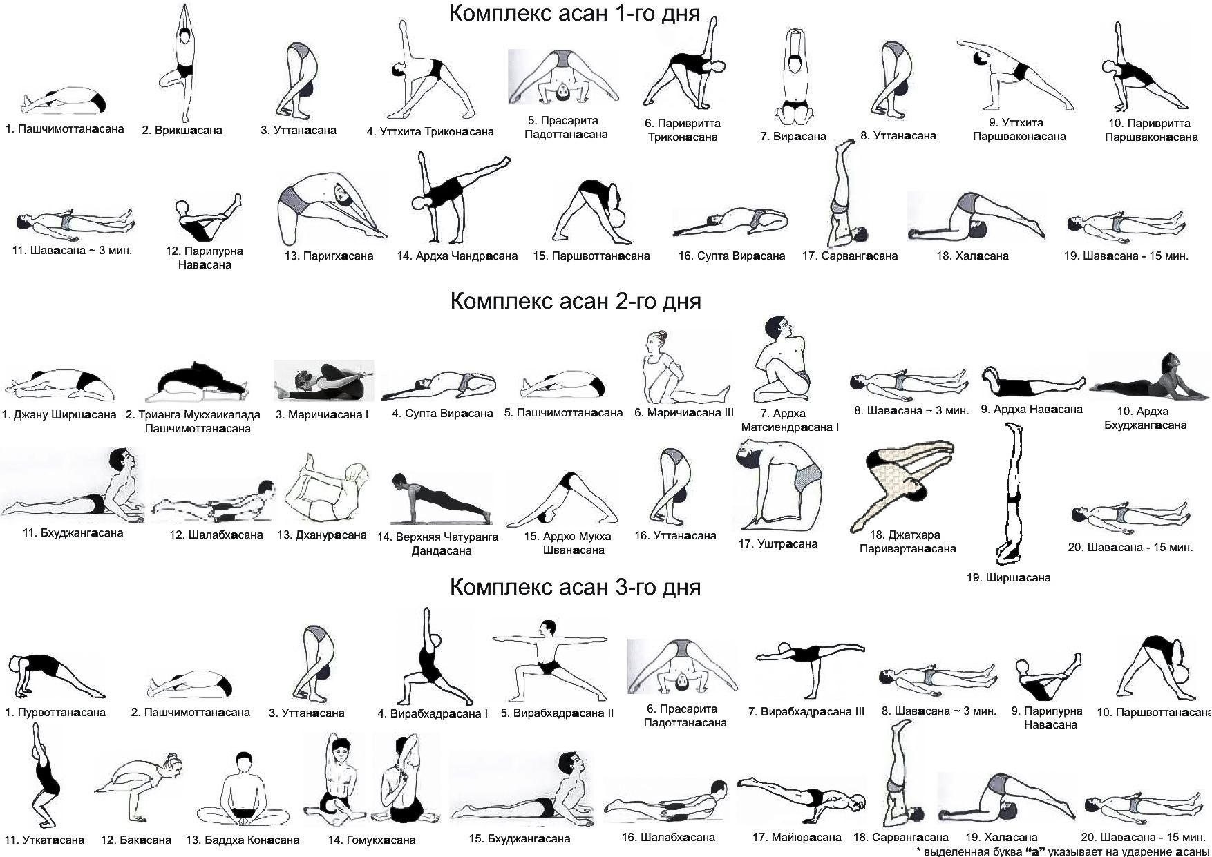 Уроки йоги айенгара. Последовательность асан в хатха йоге для начинающих. Хатха йога комплекс для начинающих. Основные асаны хатха йоги для начинающих. Йога Айенгара основные асаны.