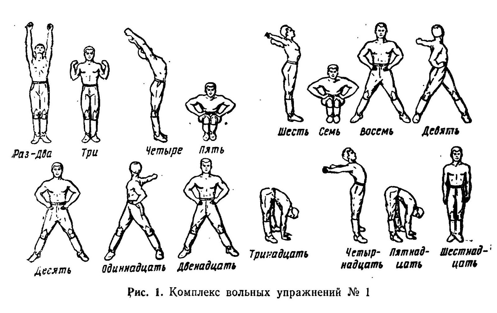 Первая славянская система гимнастики называется