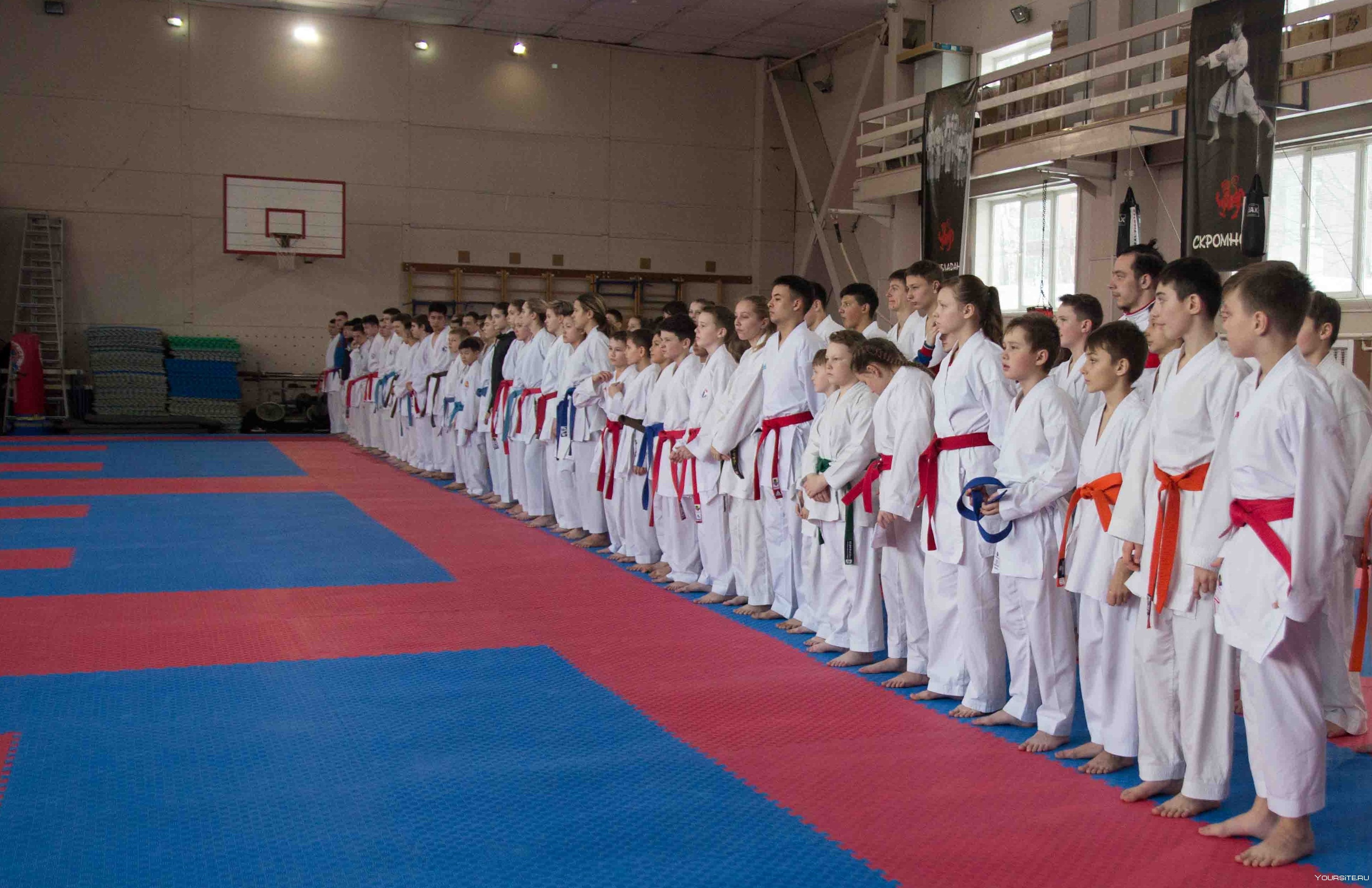 Каратэ WKF Russia