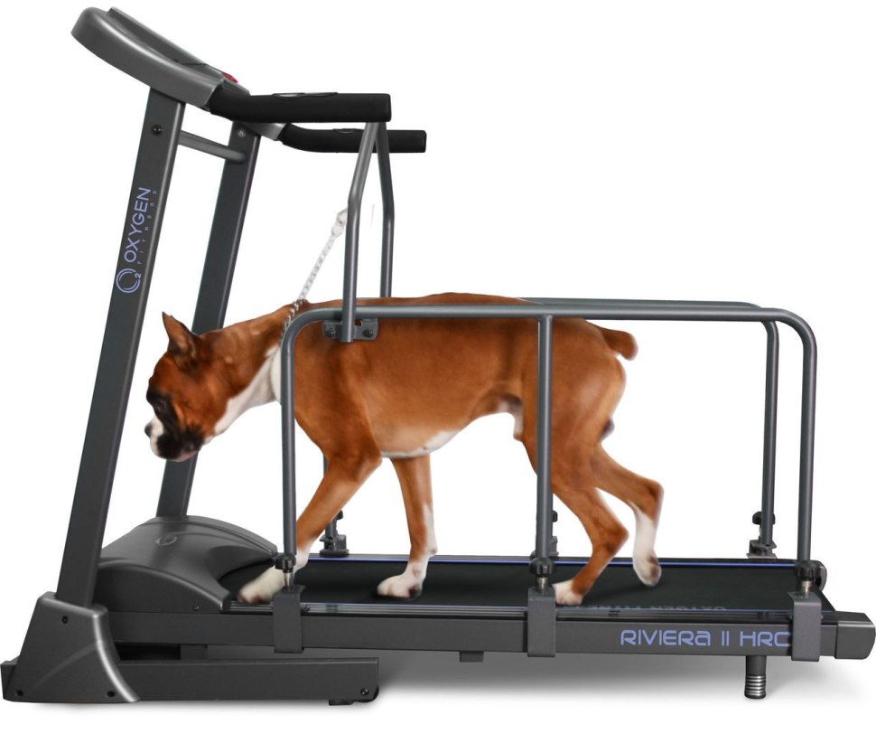 Эллиптический тренажер Vision Fitness s7100hrt