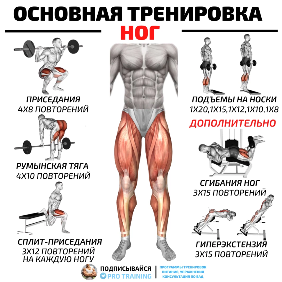 Упражнения для прокачки ног