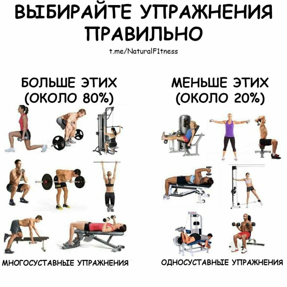 Упражнения на пресс в тренажерном зале для девушек программа