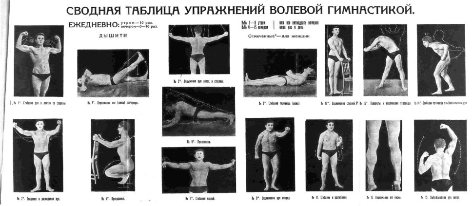 Изометрическая гимнастика Анохина комплексы упражнений